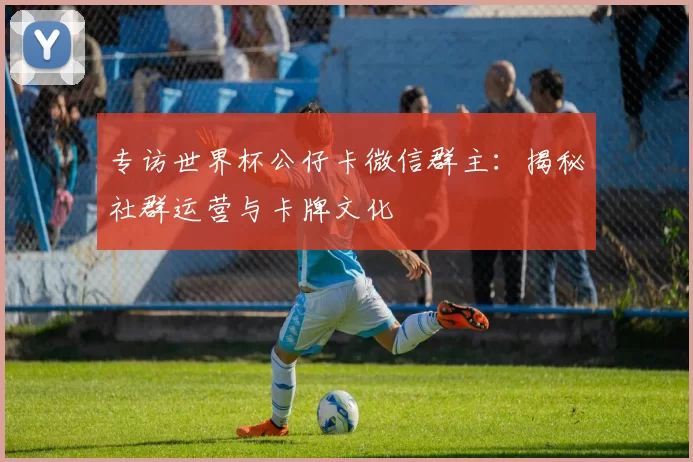 专访世界杯公仔卡微信群主:揭秘社群运营与卡牌文化