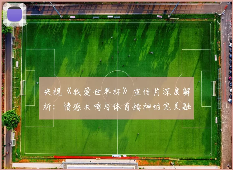 央视《我爱世界杯》宣传片深度解析：情感共鸣与体育精神的完美融合
