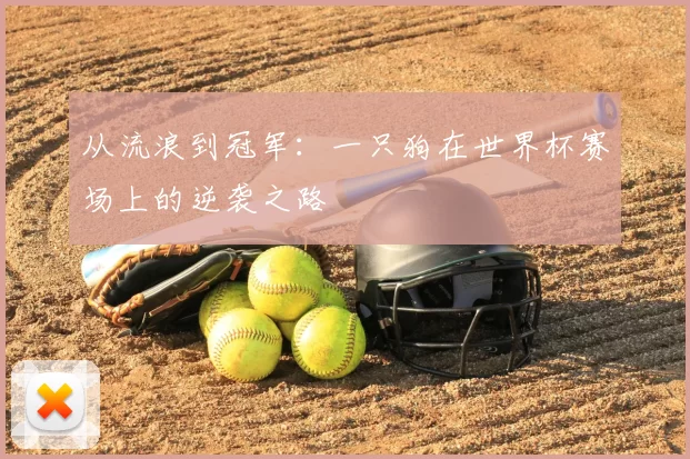 从流浪到冠军:一只狗在世界杯赛场上的逆袭之路