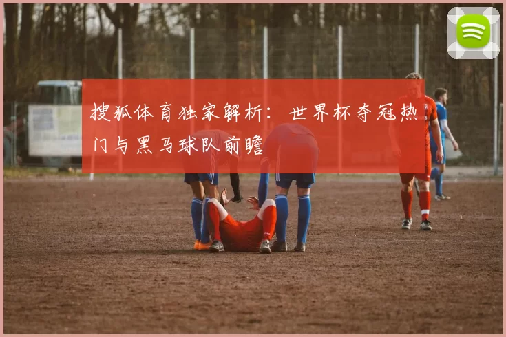 搜狐体育独家解析:世界杯夺冠热门与黑马球队前瞻