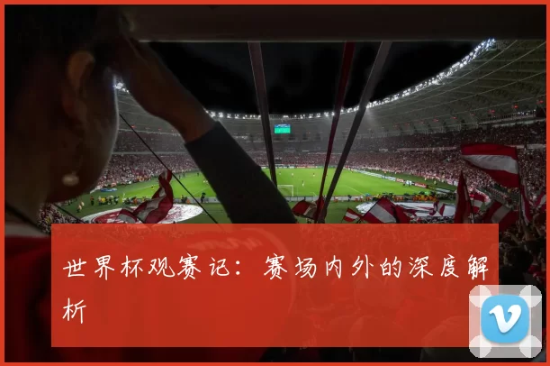 世界杯观赛记:赛场内外的深度解析