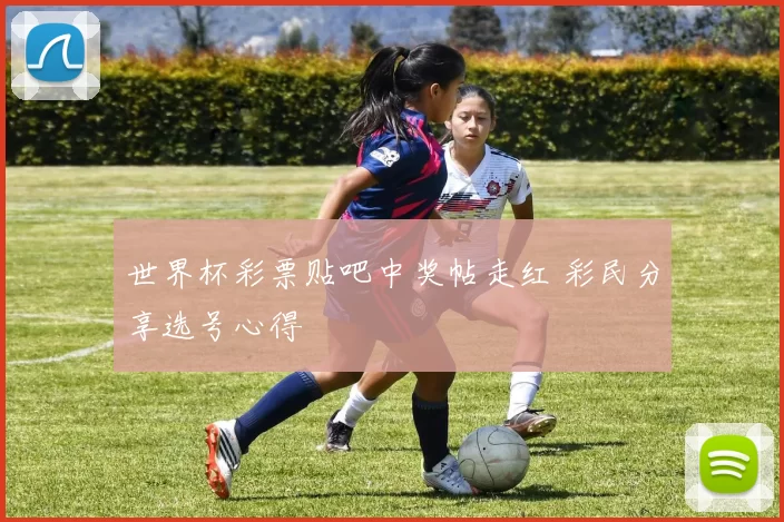 世界杯彩票贴吧中奖帖走红 彩民分享选号心得