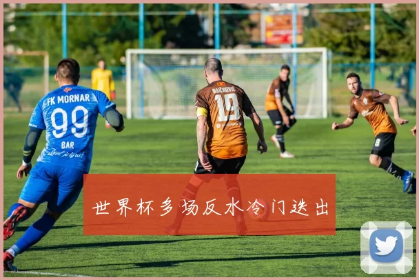 世界杯多场反水冷门迭出
