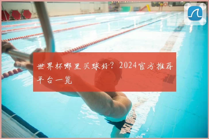 世界杯哪里买球好?2024官方推荐平台一览