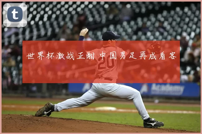 世界杯激战正酣 中国男足再成看客