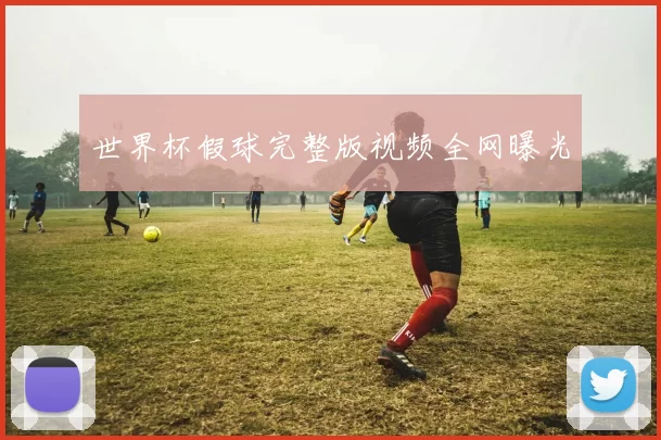 世界杯假球完整版视频全网曝光