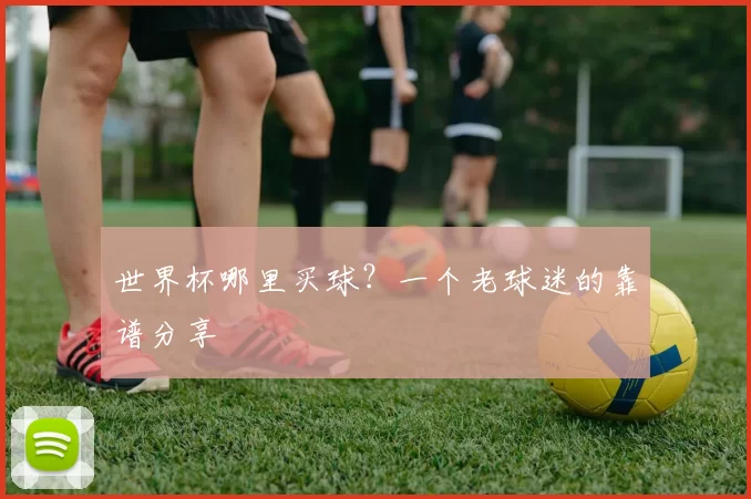 世界杯哪里买球?一个老球迷的靠谱分享
