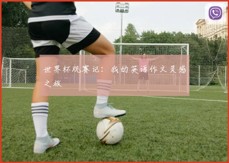 世界杯观赛记：我的英语作文灵感之旅