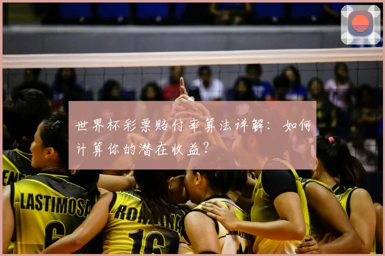 世界杯彩票赔付率算法详解:如何计算你的潜在收益?
