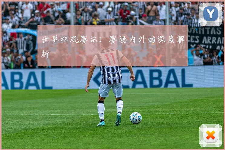 世界杯观赛记：赛场内外的深度解析
