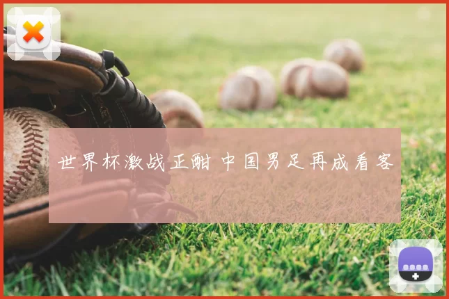 世界杯激战正酣 中国男足再成看客