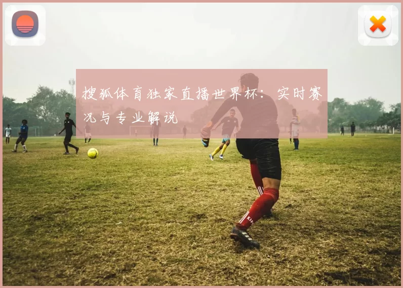 搜狐体育独家直播世界杯：实时赛况与专业解说