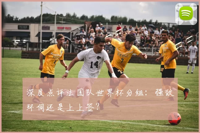 深度点评法国队世界杯分组:强敌环伺还是上上签?
