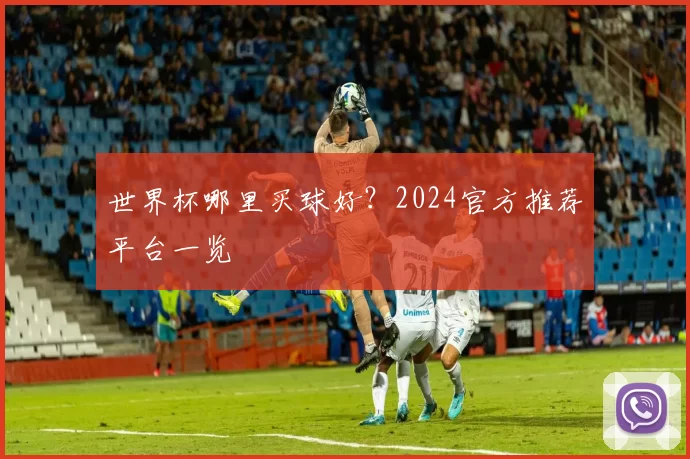 世界杯哪里买球好？2024官方推荐平台一览